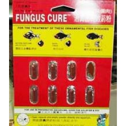 Thuốc trị nấm cá Fungus Cure (viên nang)