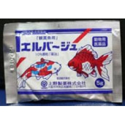 Thuốc trị nấm cá của Nhật 